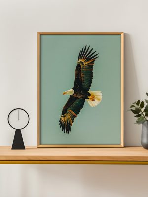 Vintage Bald Eagle in Flight Poster – Green Background Wildlife Wall Art