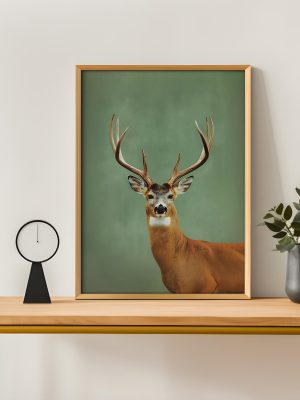 Vintage Whitetail Deer Portrait Poster – Green Background Wildlife Wall Art
