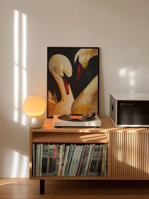 r9RxR8g-2.jpg